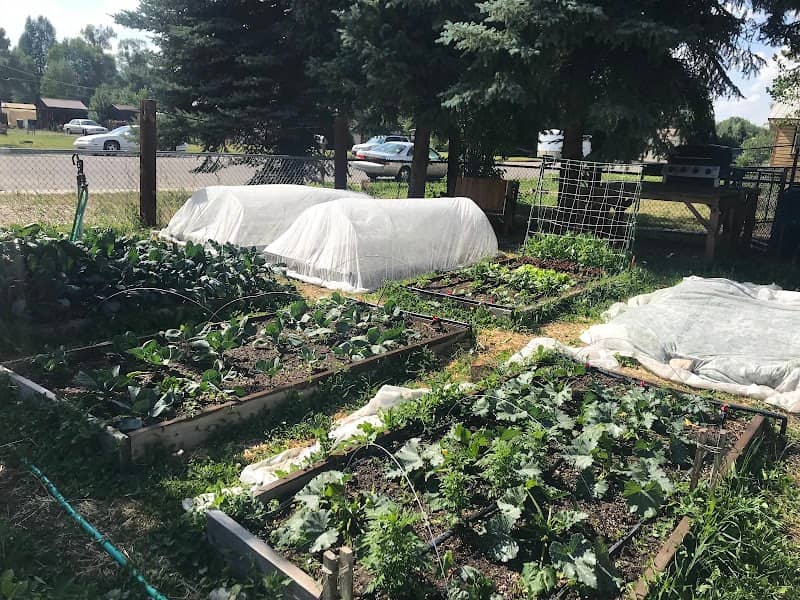 The Giving Garden at Bills Park - Image 1