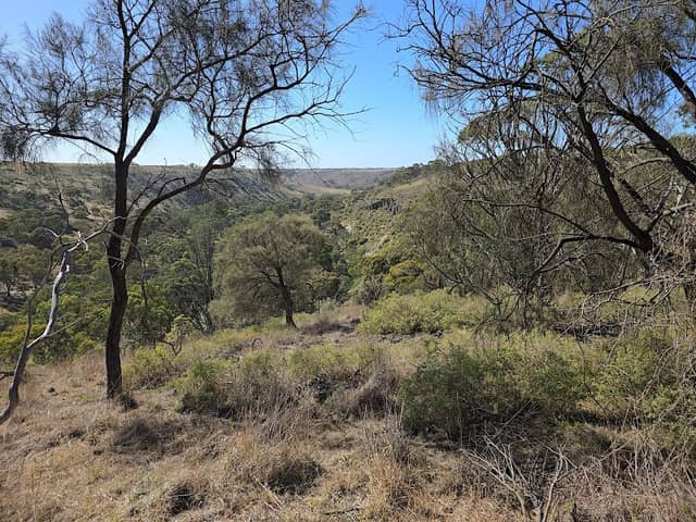 Maverick Creek viewing area - Image 1