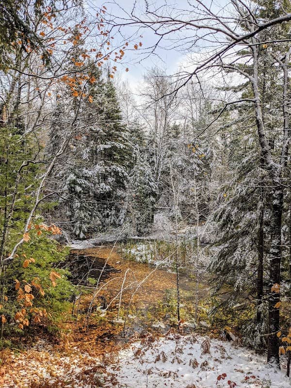 Schwemwood Park - Image 1