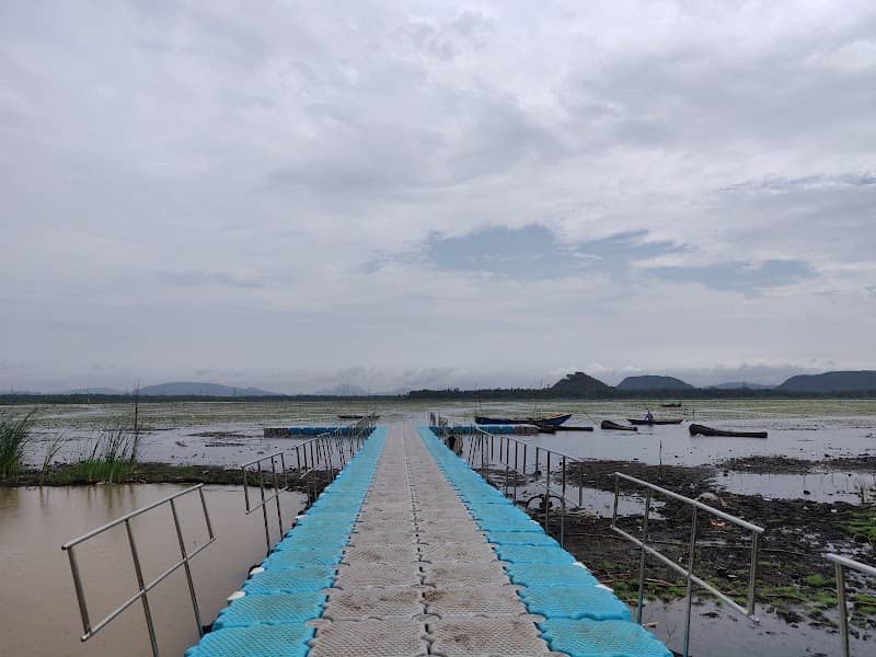 Kondakarla Bird Sanctuary - Image 3