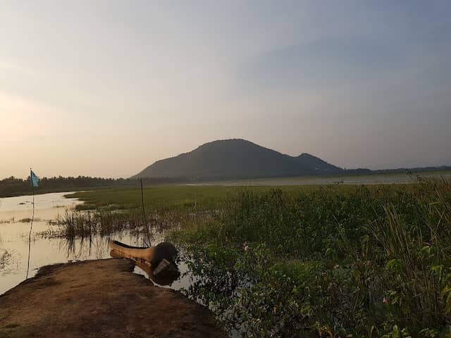 Kondakarla Bird Sanctuary - Image 2