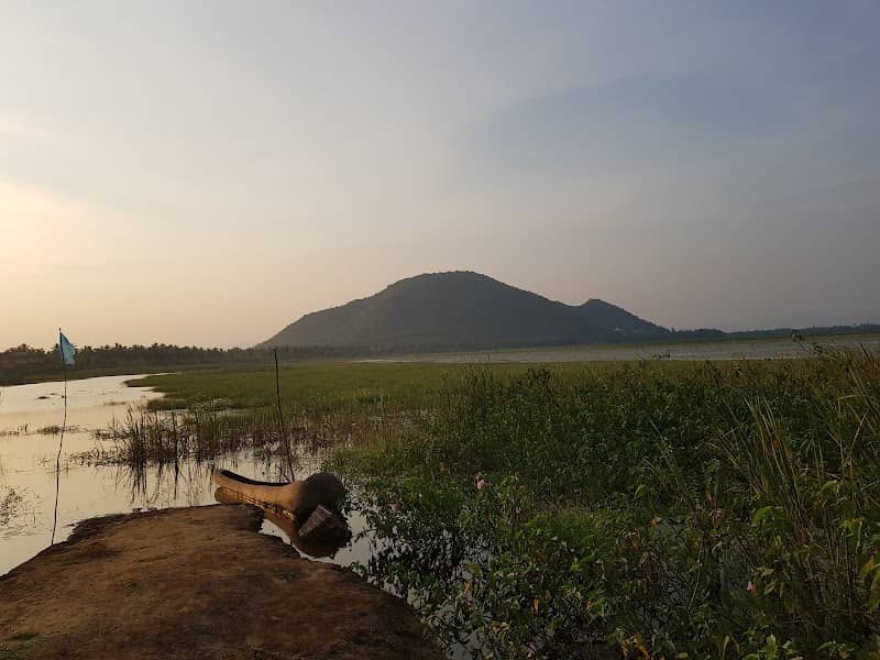 Kondakarla Bird Sanctuary - Image 2