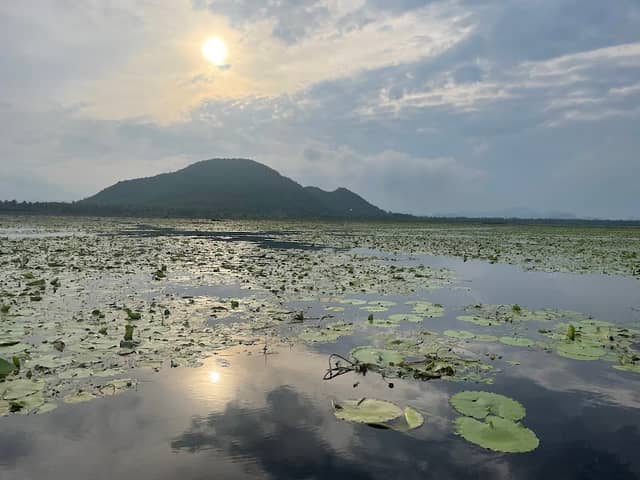 Kondakarla Bird Sanctuary - Image 1