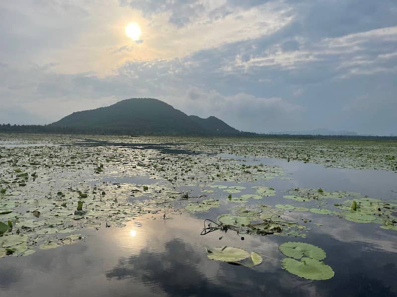 Kondakarla Bird Sanctuary - Image 1
