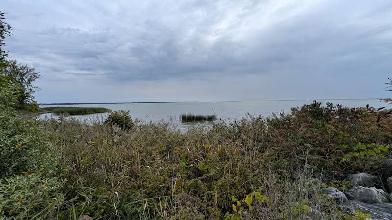 Scenic Outlook - Image 1