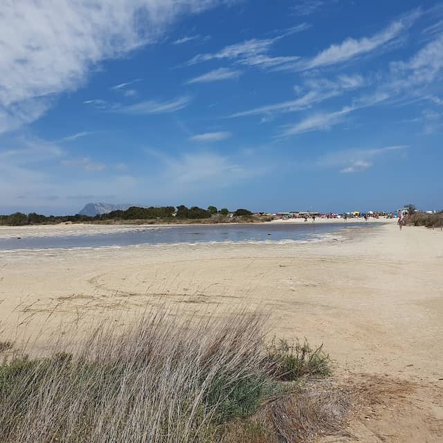 Spiaggia Isuledda - Image 3