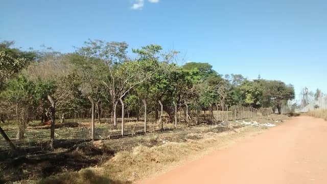 Reserva Ambiental Benedita Costa de Paulo - Image 1