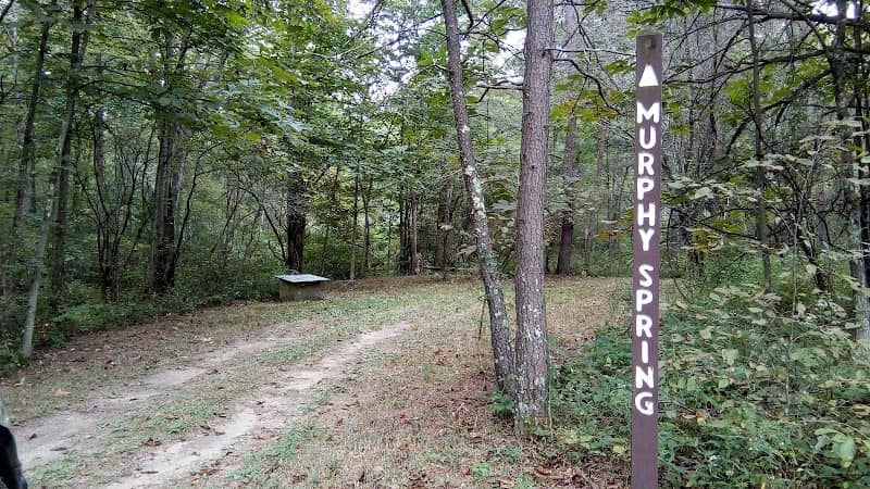 Murphy Spring - Image 1