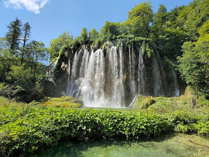 Veliki prštavac - Image 1