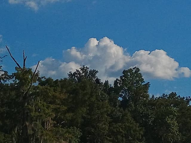 Blue Springs Park Beach - Image 1