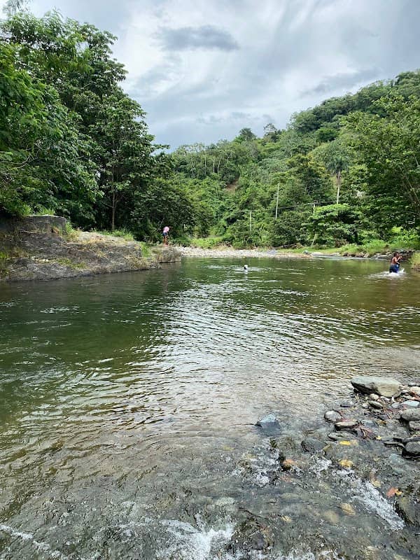 El charco de los pájaros - Image 1