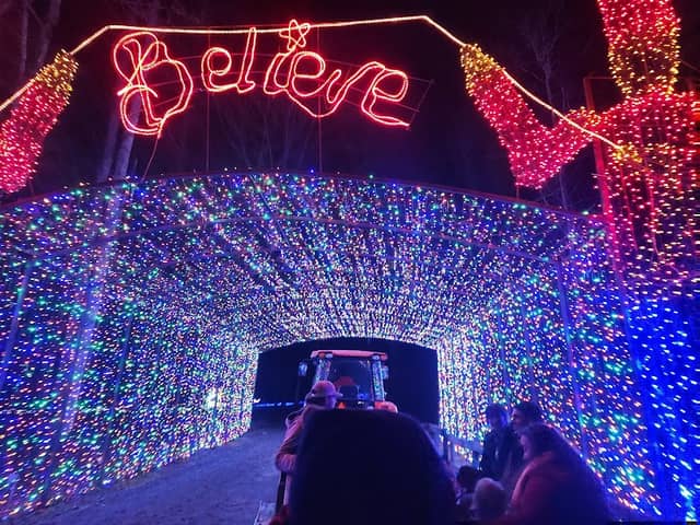 Lights of the South - Image 2