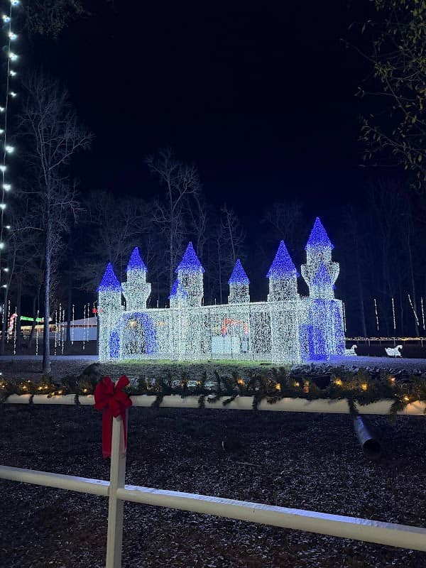 Lights of the South - Image 1