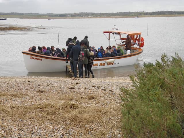 Beans Seal Trips - Image 1