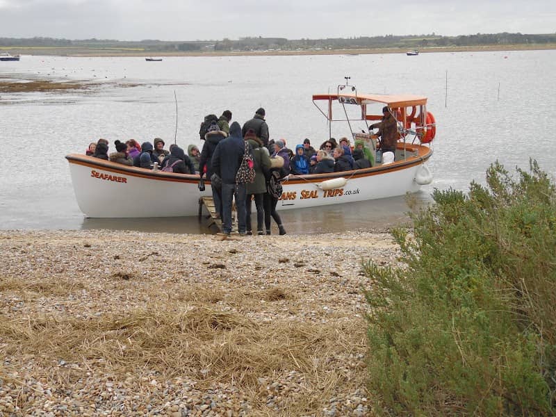 Beans Seal Trips - Image 1