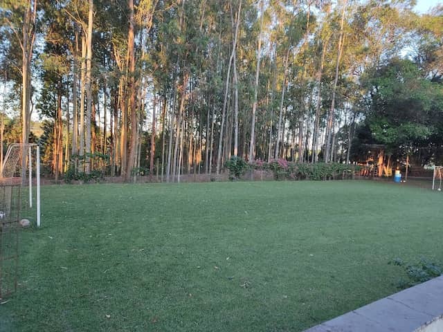 Arena Decleva - Image 1