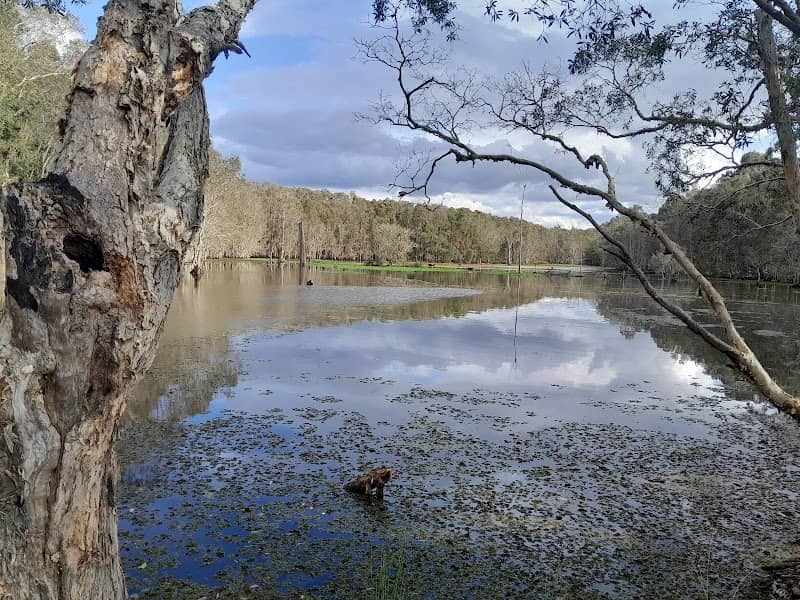 Lakeview Bird Hide - Image 1