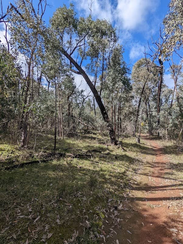 White Box Walking Track - Image 1