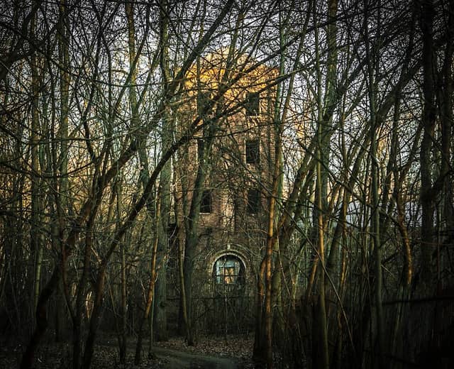 Dacha Lyamina - Image 2