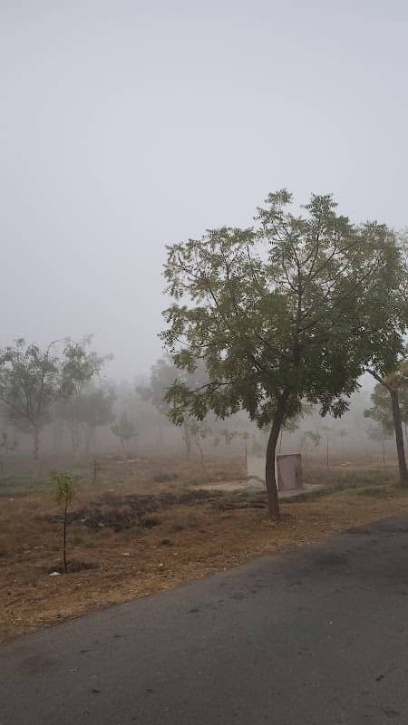 Phase 1 Park - Image 2
