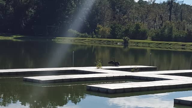 Holbrook Pond - Image 2