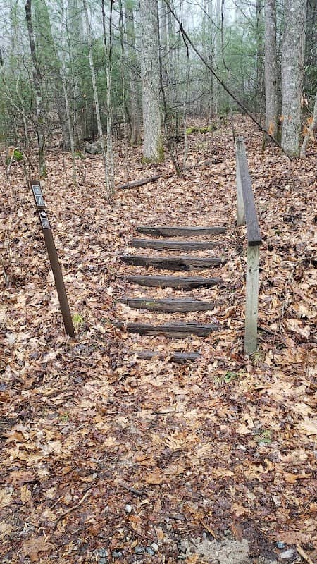 Horse Cove Trail Head - Image 1