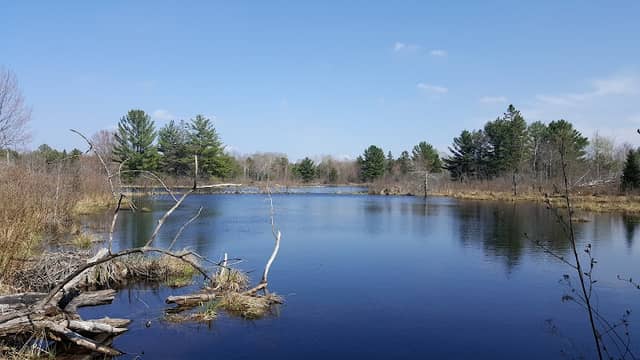 The Kris Starr Sanctuary - Image 1