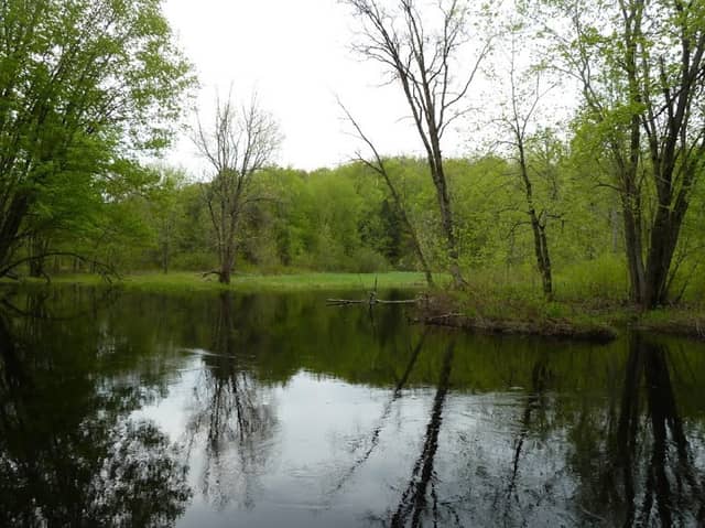 The Kris Starr Sanctuary - Image 2