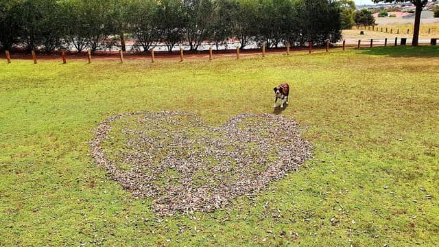 De Crillion Park - Image 1