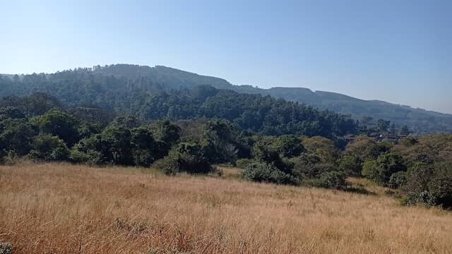Queen Elizabeth Park - Image 1