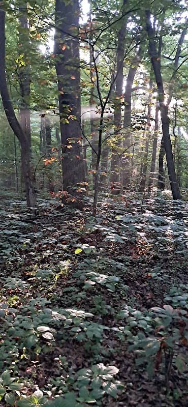 Trillium Trail at St.Anne Woods - Image 2