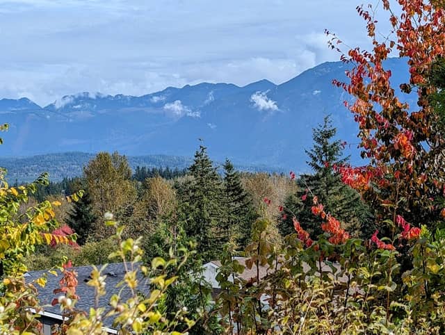 Satterlee Park - Image 1
