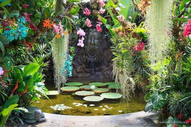 Giardini la Mortella - Image 1