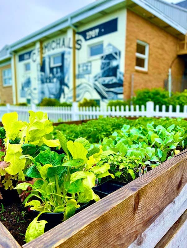 Carmichaels Community Garden - Image 2