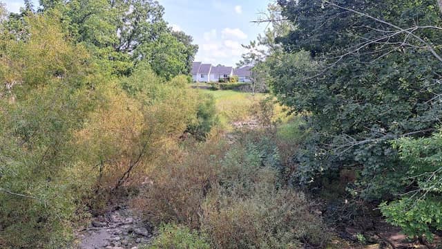 Smithville Nature Path - Image 1