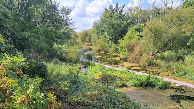 Smithville Nature Path - Image 2