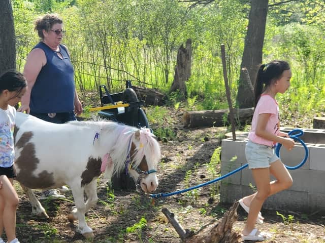 Pony Trail Blazers - Image 1