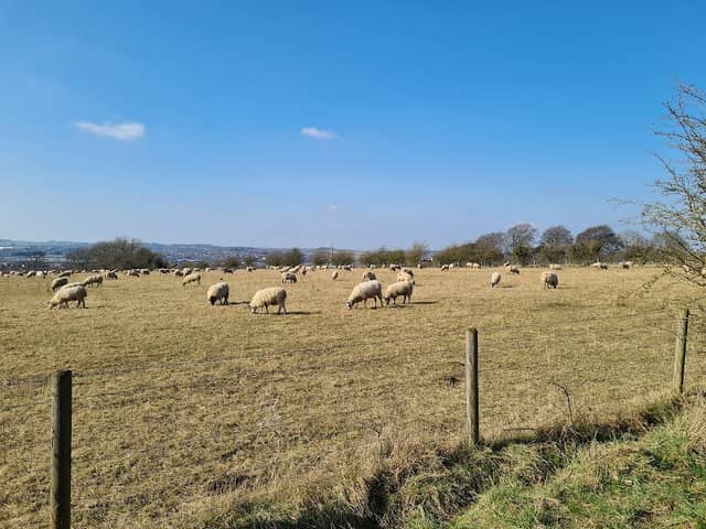 Hills And Hollows - Image 2