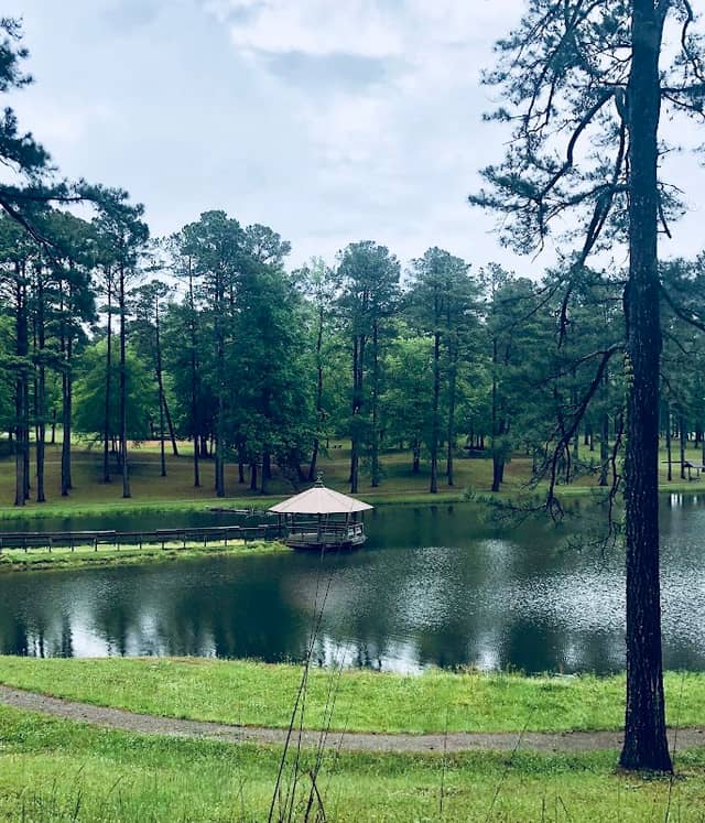 Tombigbee National Forest - Image 2