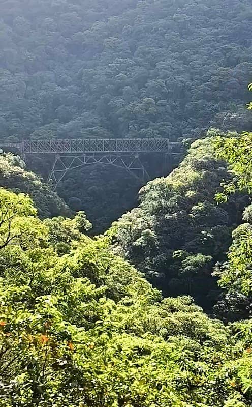 Vista da ponte - Image 1
