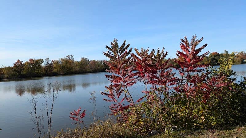 Ford Lake - Image 1