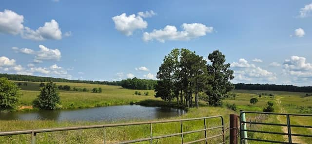 Carmen Springs Wildlife Refuge Management Area - Image 1