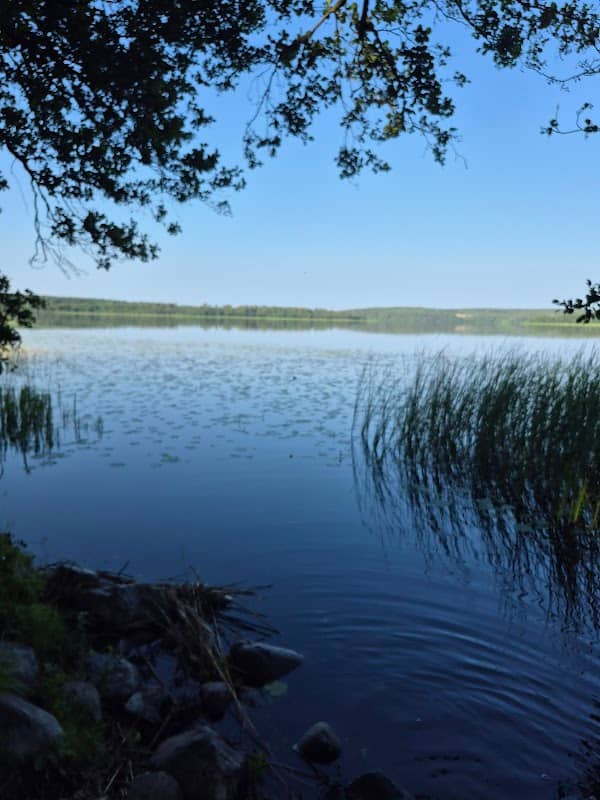 Nybylunds naturreservat - Image 1