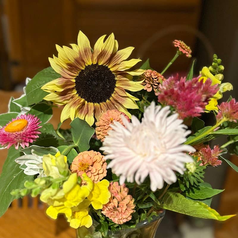 Burwalde Blooms - Image 1