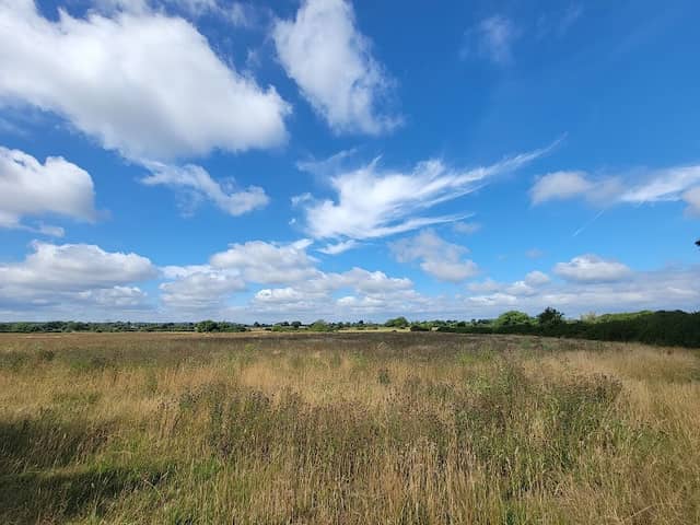 Tadpole Garden Village Nature Park - Image 2