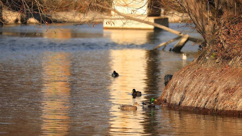 Riverside Park - Image 1