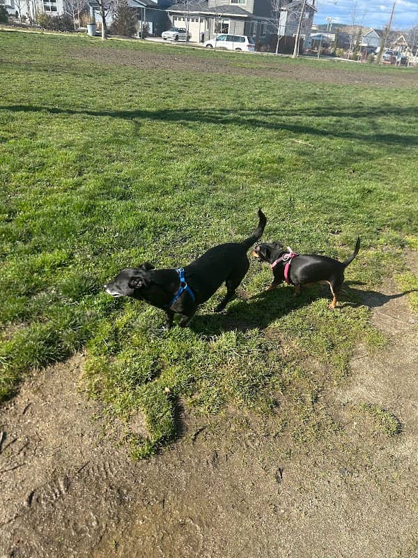 Bark Park - Image 1