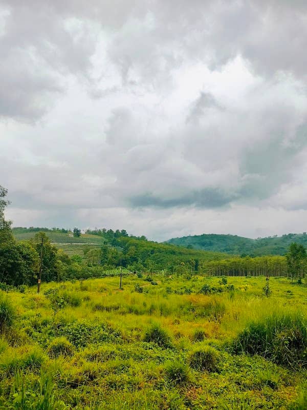 Thenginal Mountains view point - Image 1