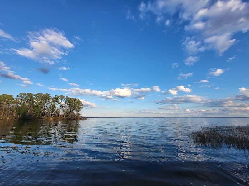 Indian Mounds Wilderness - Image 3