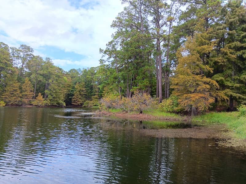 Indian Mounds Wilderness - Image 1